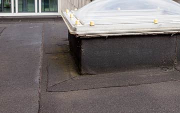 disadvantages of Stranagalwilly flat roofs