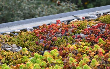 the cost of Stranagalwilly green roof installation