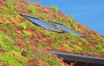 Stranagalwilly living roof systems