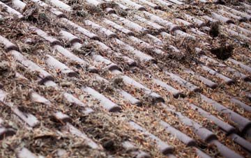 Stranagalwilly roof cleaning companies