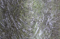 Stranagalwilly fibreglass roof work